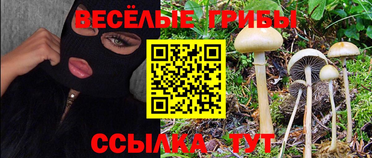 Галлюциногенные грибы Psilocybe  Вход с VPN  Орск 