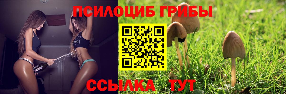 Галлюциногенные грибы Magic Shrooms Орск